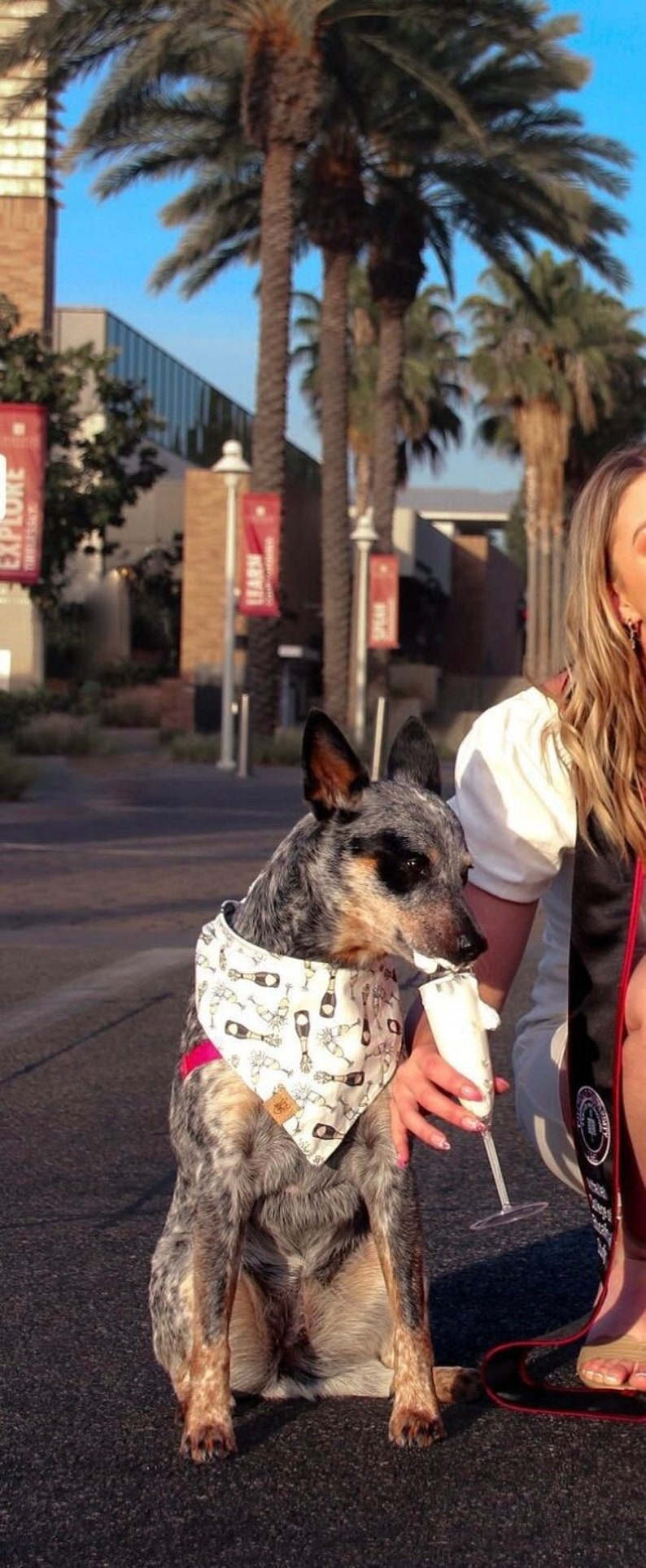 Let's Celebrate Champagne Dog Dog Bandana Engagement Dog Bandana I do Dog Bandana Graduation Dog Bandana Wedding Dog Bandana image 3