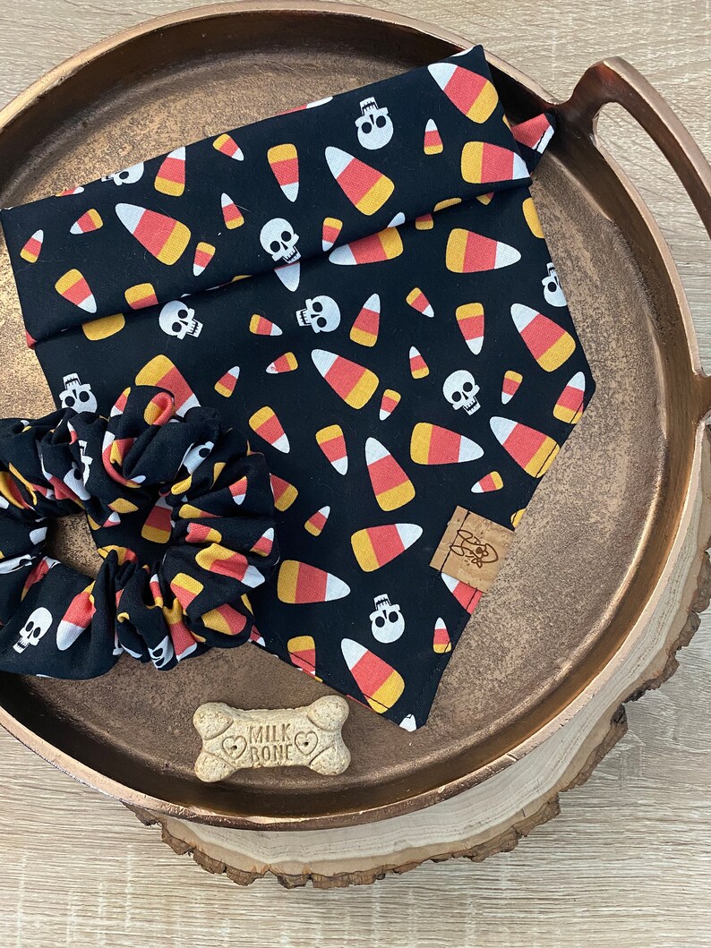 Candy Corn Tie On Dog Bandana Halloween Dog Bandana Skull Dog Bandana Fall Dog Bandana Candy Dog Bandana Dog Halloween Costume image 1