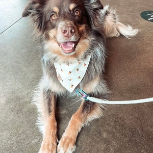 Camping Tie On Dog Bandana Bonfire Themed Bandana Fire Dog Bandana Campfire Themed Dog Bandana Nature Dog Bandana image 2