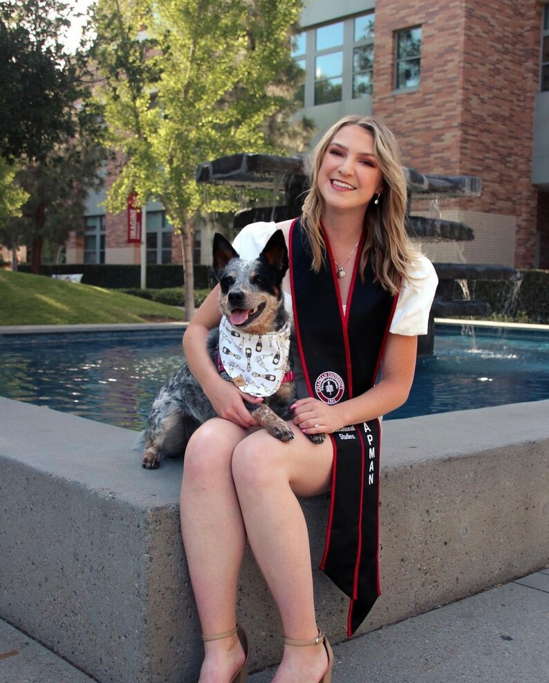 Let's Celebrate Champagne Dog Dog Bandana Engagement Dog Bandana I do Dog Bandana Graduation Dog Bandana Wedding Dog Bandana image 6