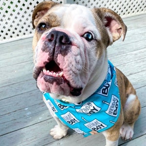 Birthday Boy Dog Birthday Tie On Dog Bandana image 4