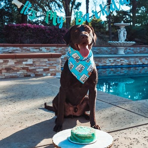 Birthday Boy Dog Birthday Tie On Dog Bandana image 7