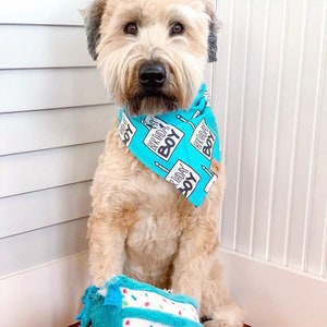 Birthday Boy Dog Birthday Tie On Dog Bandana image 9