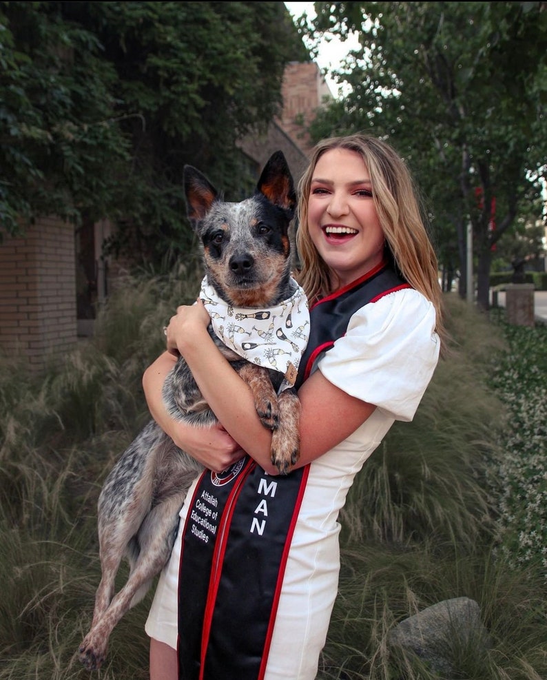 Let's Celebrate Champagne Dog Dog Bandana Engagement Dog Bandana I do Dog Bandana Graduation Dog Bandana Wedding Dog Bandana image 1