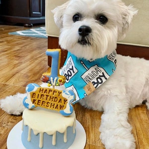 Birthday Boy Dog Birthday Tie On Dog Bandana image 5