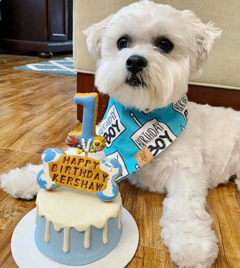 Birthday Boy Dog Birthday Tie On Dog Bandana image 5