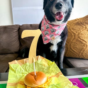 Birthday Girl Dog Bandana Dog Birthday Birthday Girl Tie On Dog Bandana image 2