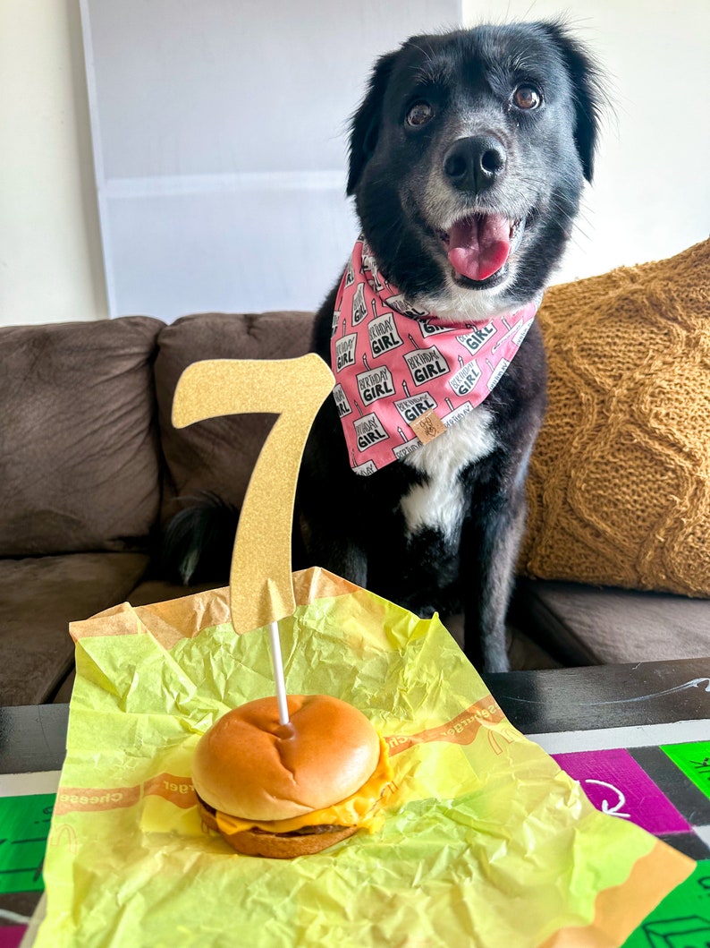 Birthday Girl Dog Bandana Dog Birthday Birthday Girl Tie On Dog Bandana image 2