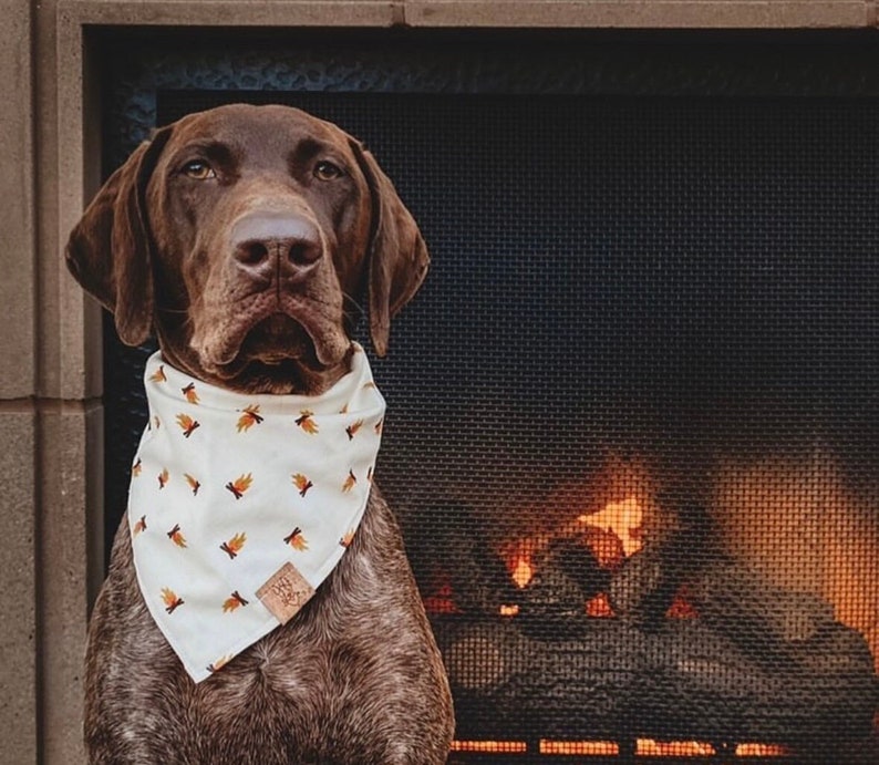 Camping Tie On Dog Bandana Bonfire Themed Bandana Fire Dog Bandana Campfire Themed Dog Bandana Nature Dog Bandana image 1