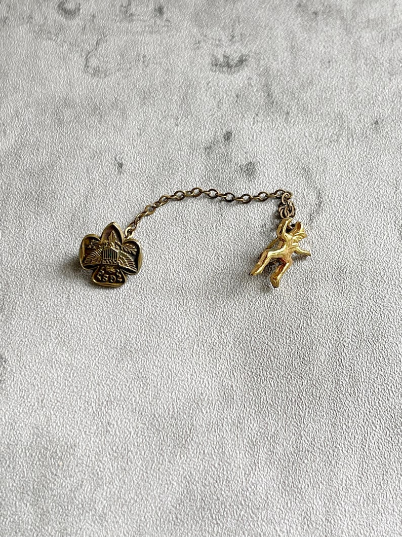 Puede incluir: Un broche vintage dorado con una cadena. Un extremo presenta un dise&ntilde;o de flor de lis, y el otro un peque&ntilde;o caballo corriendo. El broche probablemente est&aacute; hecho de lat&oacute;n o un metal similar. La cadena conecta los dos elementos decorativos.