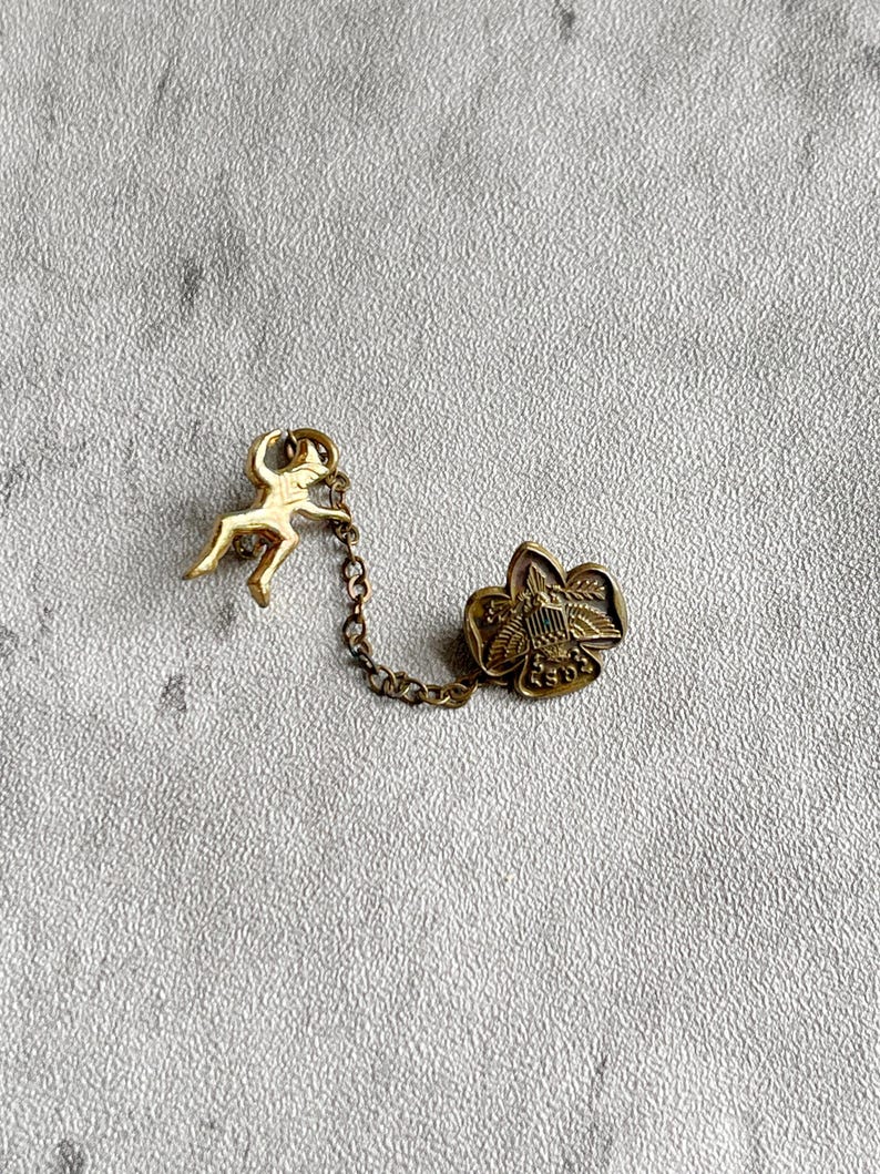 Puede incluir: Conjunto de broches dorados vintage. Una peque&ntilde;a figura est&aacute; conectada por una cadena a un broche en forma de flor. El broche de la flor tiene un dise&ntilde;o detallado con un escudo. El fondo es una superficie texturizada de color gris claro.