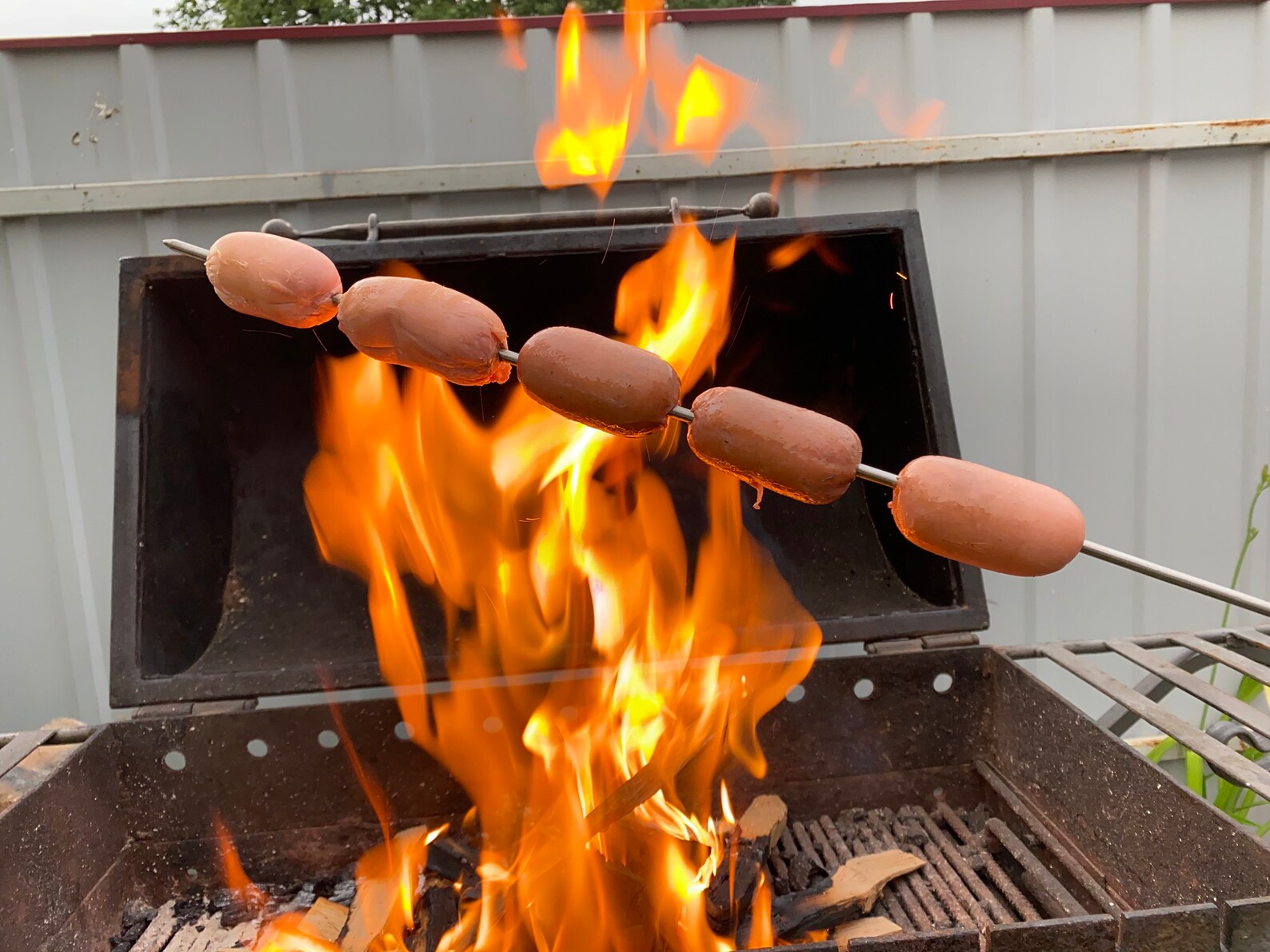 Hot Dog Marshmallow Roaster Grill BBQ tools roasters Etsy