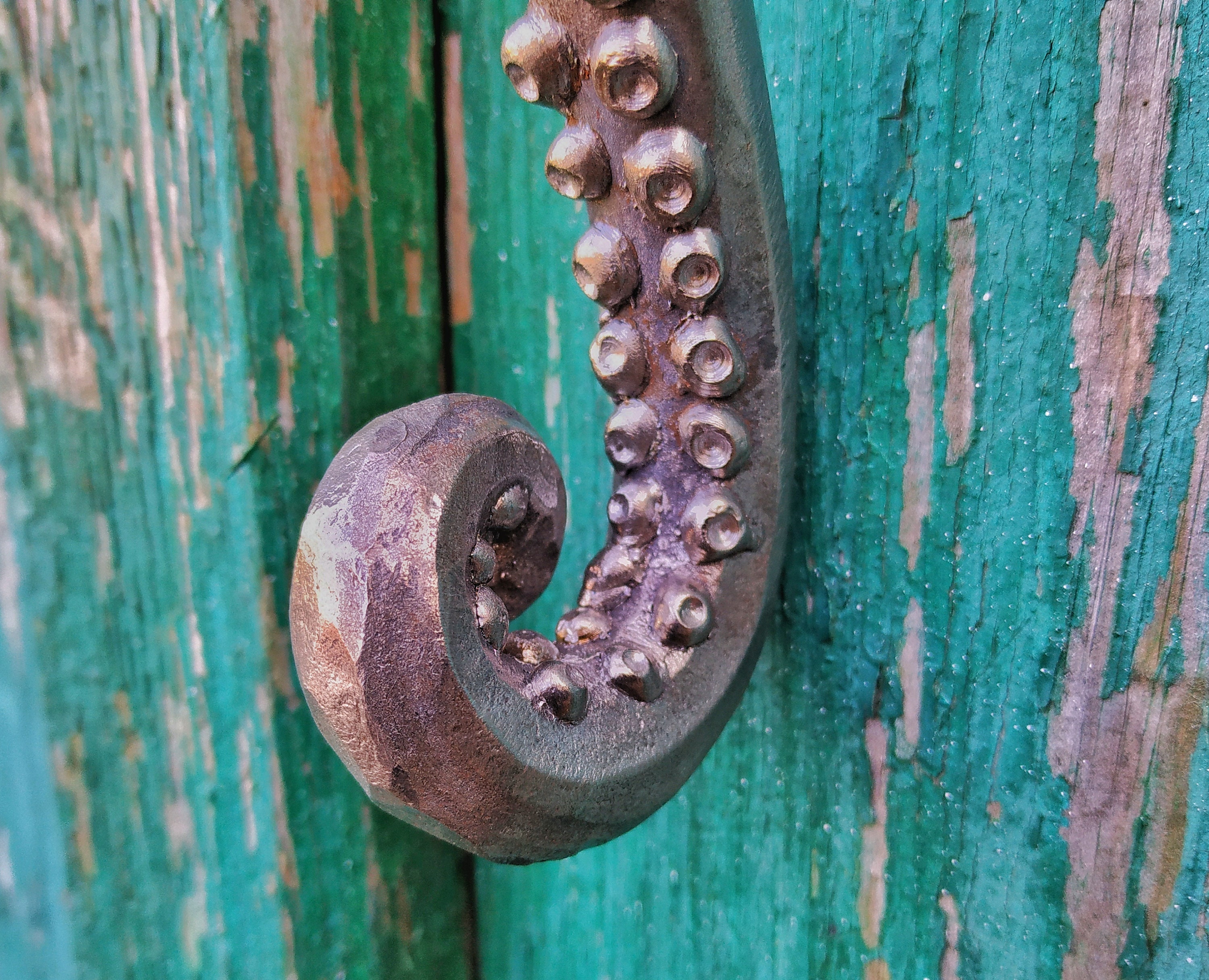 Octopus Door Handle Etsy