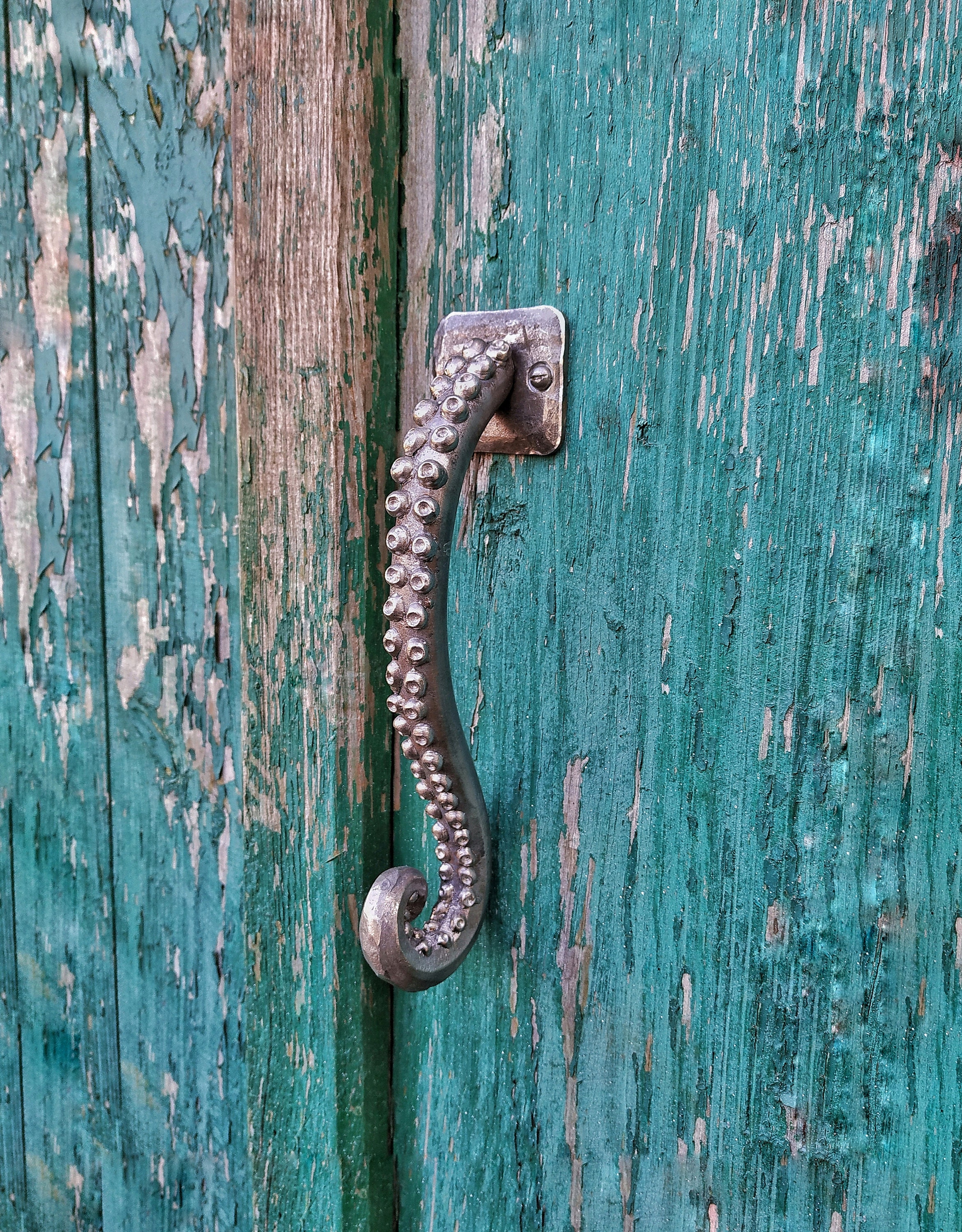 Octopus Door Handle Etsy UK