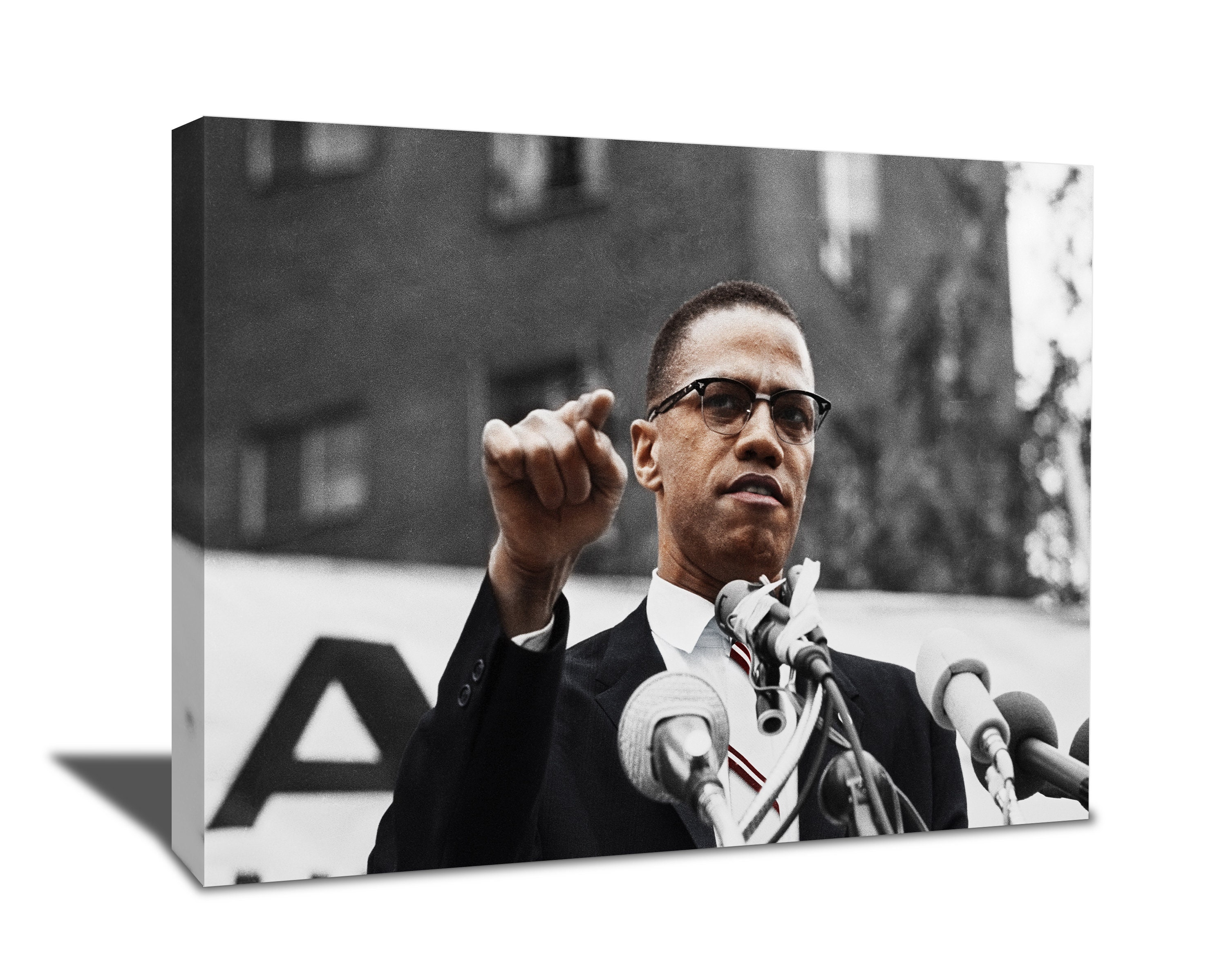Malcolm X Wall Art Canvas Civil Rights Poster Revolutionary Etsy