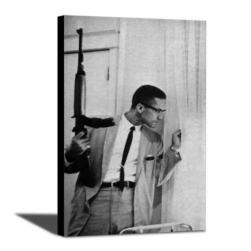 Malcolm X Wall Art Canvas Civil Rights Poster Revolutionary Etsy