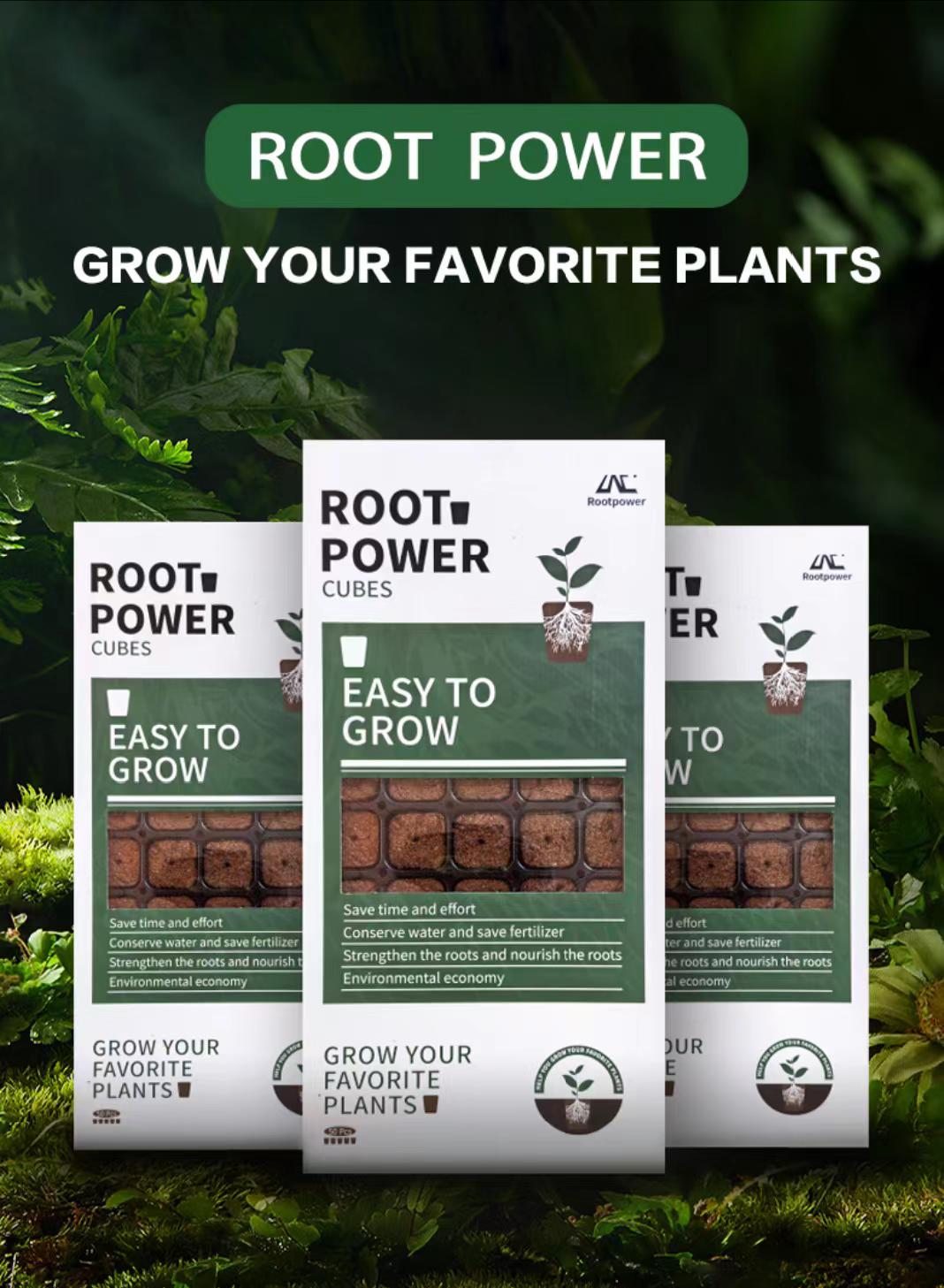 50 Coco Coir Plugs: Root Power Seed Starter Cubes - Etsy