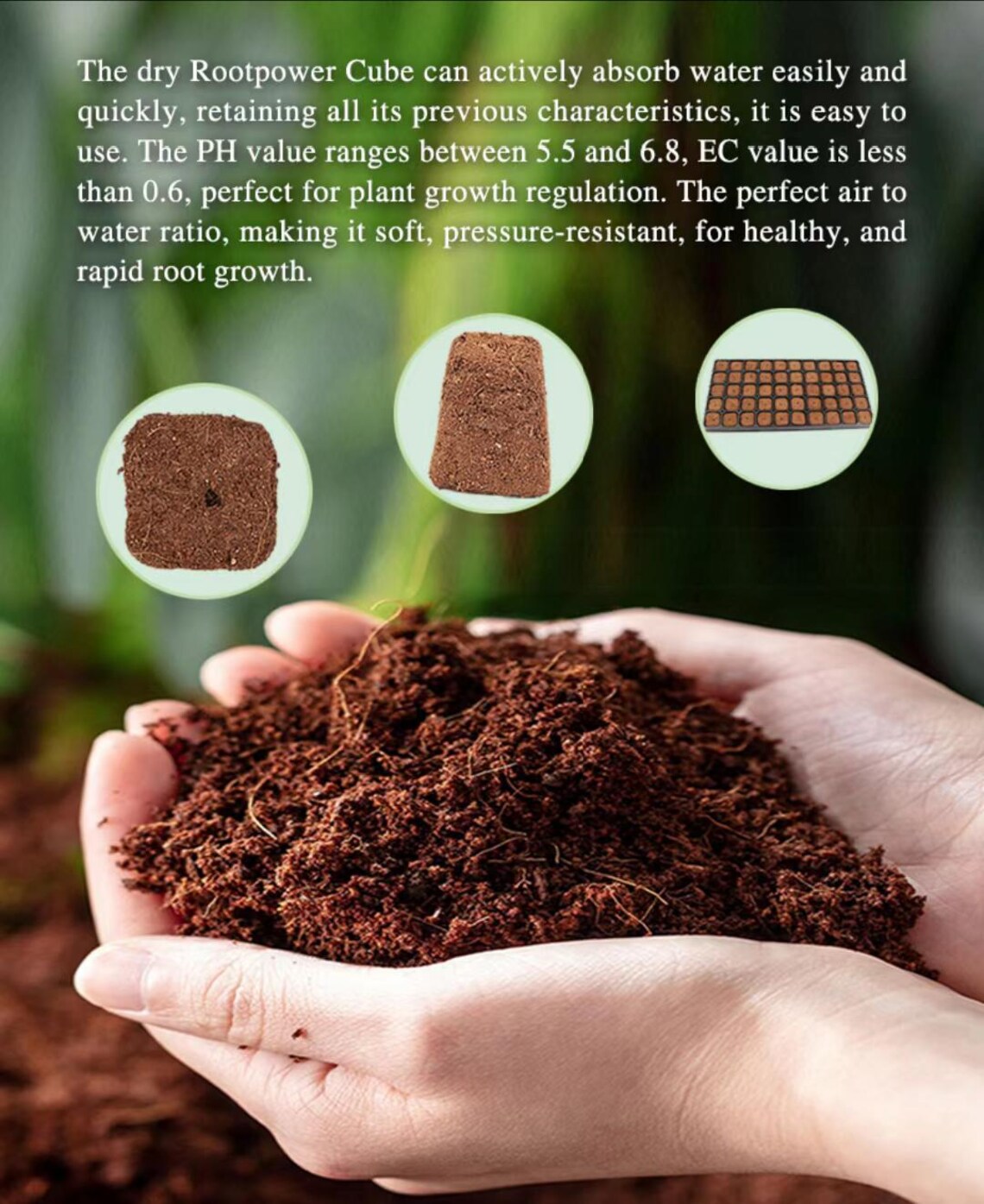 105 Coco Coir Plugs: Root Power Seed Starter Cubes - Etsy