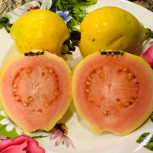 May include: A plate with four guavas, two whole and two cut in half. The whole guavas are yellow with a slight pink blush. The cut guavas reveal pink flesh with small seeds. The plate has a floral design.