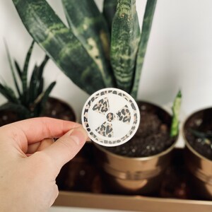 Cheetah Print Radiology Symbol Sticker, Radiology Sticker, Xray sticker, Rad Tech Sticker, Radiology, Radiology Technician, Radiologist