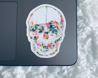 Radiology Sticker, Skull Radiology Sticker, Radiology, Skeleton Sticker, Xray Sticker, Rad Tech, Rad Tech Gifts, Radiology Technologist
