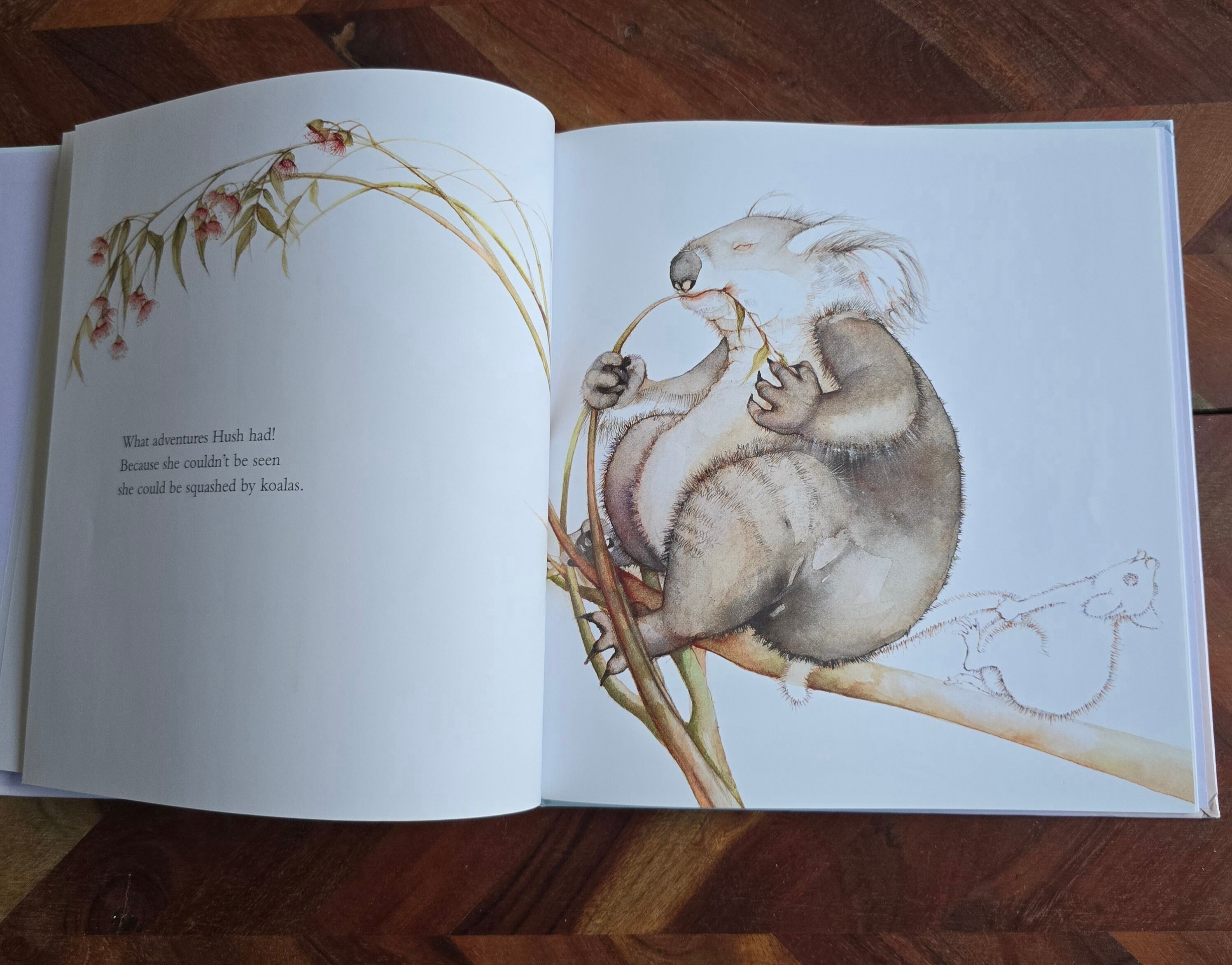 Possum Magic (40th Anniversary Edition): Mem Fox