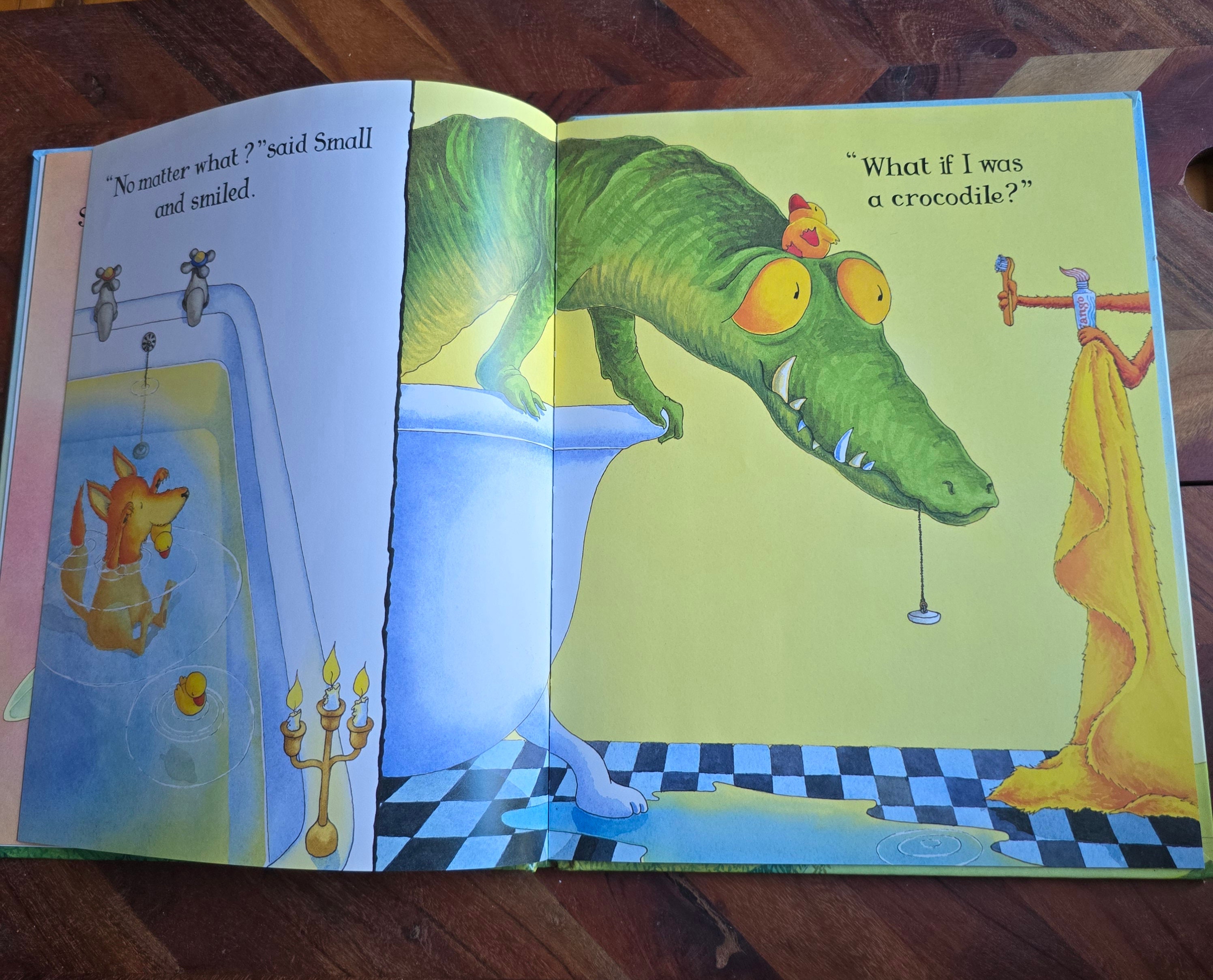 Vintage Children's Book - No Matter What - Debi Gliori