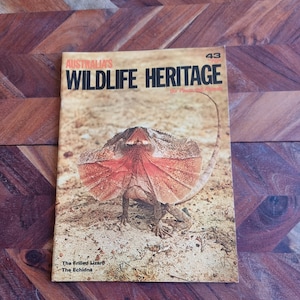 Op de afbeelding: Een vintage tijdschriftcover met een gekrulde hagedis met een rode kraag, getiteld "Australia's Wildlife Heritage" met nummer 43. De tekst "The Frilled Lizard" en "The Echidna" staat onderaan de cover.