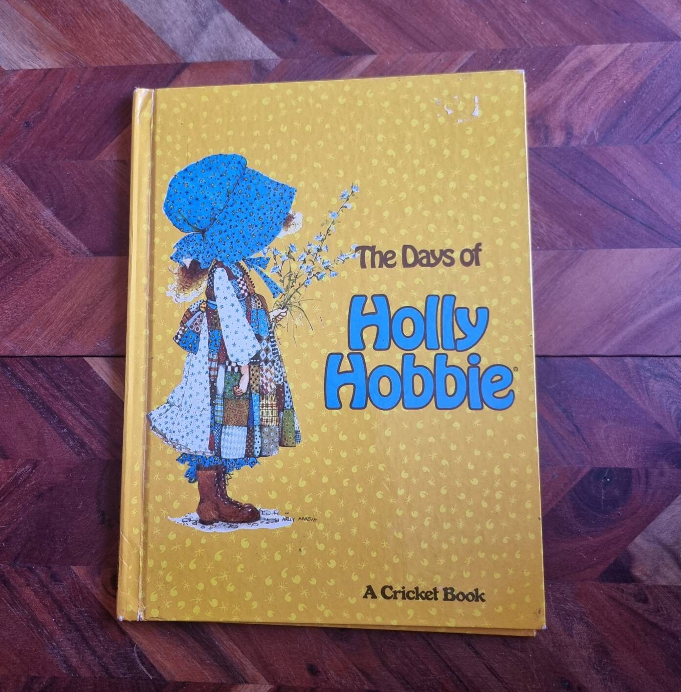 Vintage Childrens Books - the Days of Holly Hobbie - 1977 Edition 