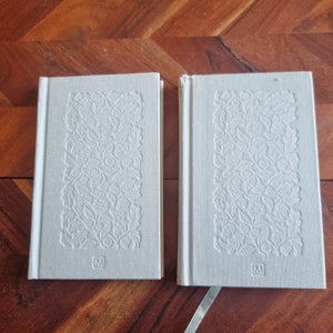 Around the World in Eighty Days - Journey to the Centre of the Earth - Jules Verne - Set of 2