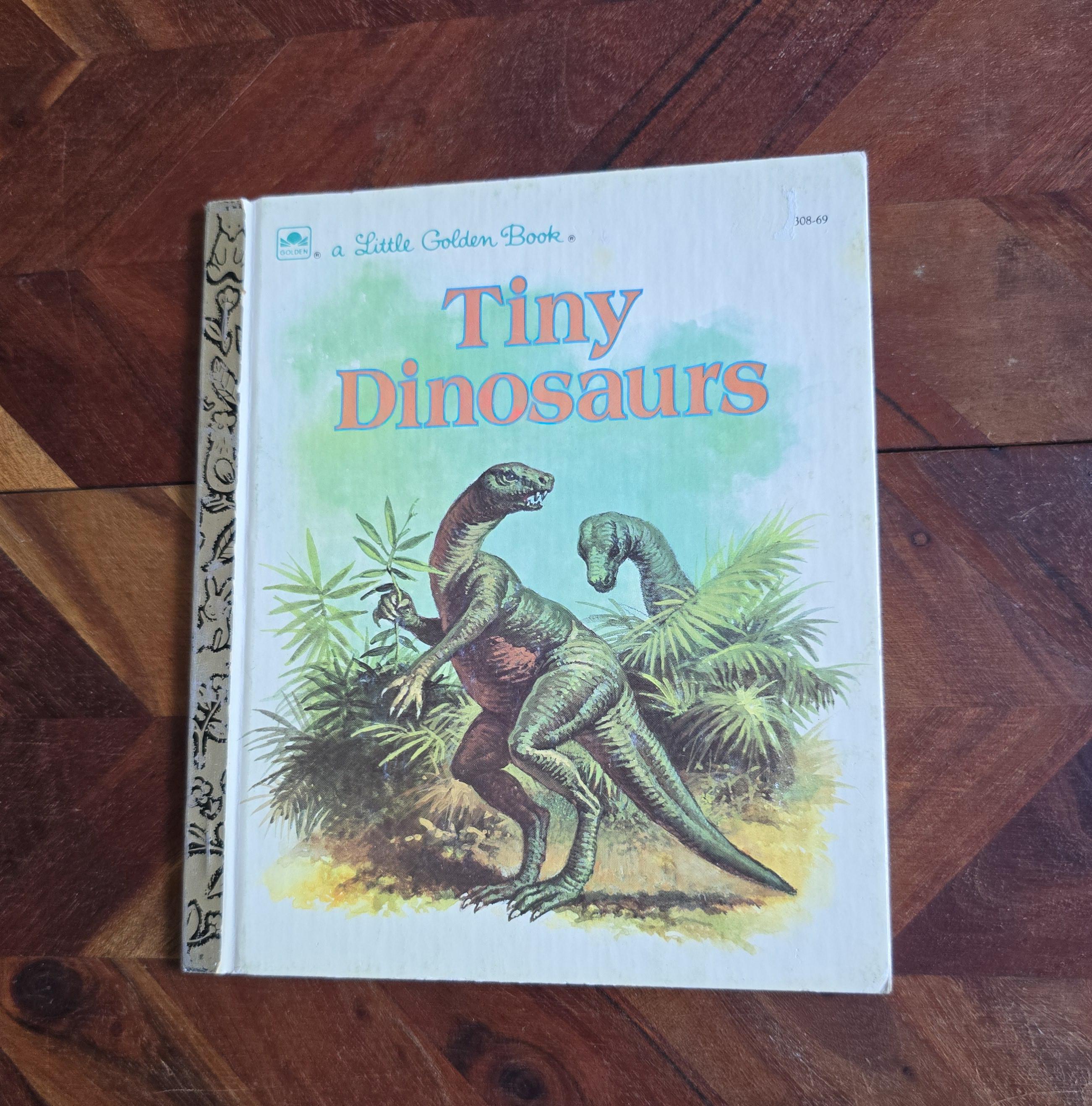 ヴィンテージの児童書 - リトルゴールデンブック - 小さな恐竜 - 1988