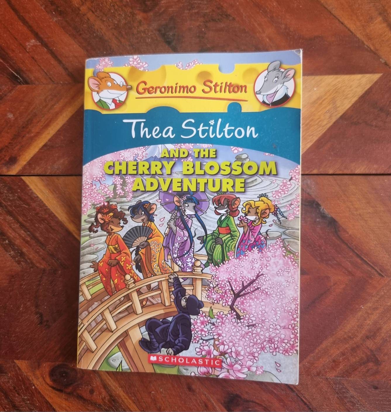 Childrens Books - Geronimo Stilton - Thea Stilton and the
