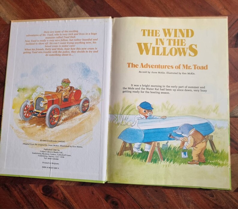 Vintage Childrens Books the Wind in the Willows the - Etsy