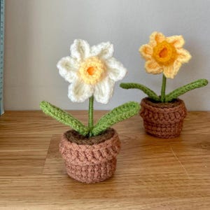 Crochet Daffodil in Pot – Handmade Spring Flower Decor – Yellow or White Daffodil – Mini Potted Plant – Spring Gift