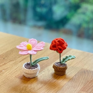 Puede incluir: Dos arreglos florales de ganchillo en macetas pequeñas. La flor de la izquierda es rosa con un centro amarillo y hojas verdes. La flor de la derecha es roja con hojas verdes. Ambas macetas son marrones.