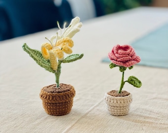 Crochet June Birth Flower Set – Rose & Honeysuckle in Pot – Handmade Birthday Gift, Crochet Floral Ornament
