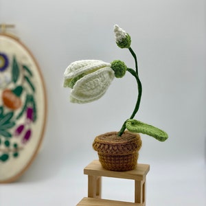 Mini perce-neige planté au crochet fait main - Cadeau unique pour les amateurs de plantes et de fleurs - Livré dans une jolie boîte cadeau ! Carte-cadeau disponible !