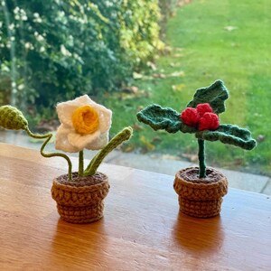 Op de afbeelding: Twee gebreide potplanten. Eén plant heeft een witte bloem met een geel hart en groene bladeren. De andere plant heeft groene bladeren en rode bessen.