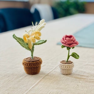 Puede incluir: Dos plantas en maceta de ganchillo, una con una flor amarilla y la otra con una rosa rosa. Las plantas están en macetas marrones y blancas.