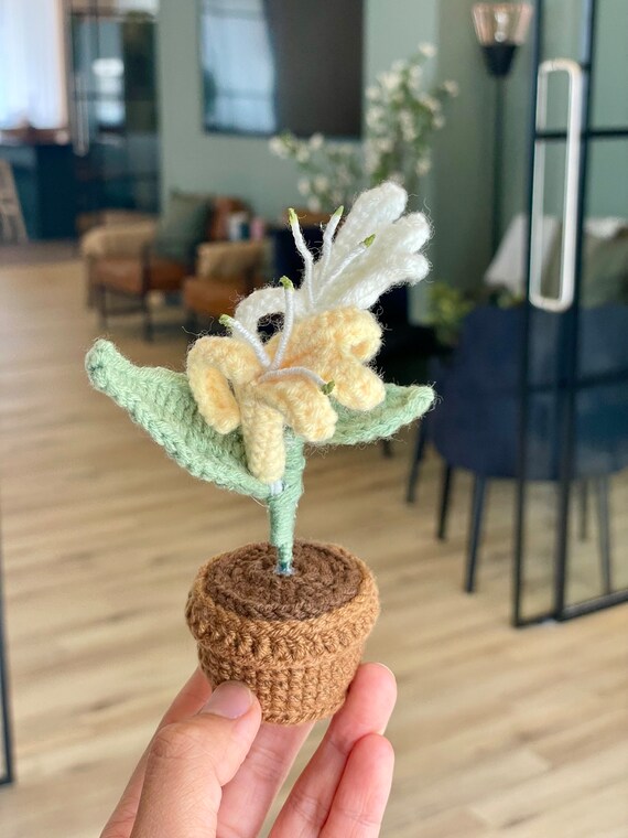 Handcrafted Mini Honeysuckle Crochet: Perfect June Gift! Birth