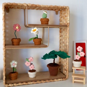 May include: A set of crocheted flower and plant pots displayed on a wooden shelf with a woven wicker frame. The shelf has three tiers and features a variety of colorful flowers and plants, including a cactus, a pink flower, a white flower, and a green plant.