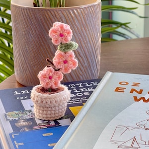 Handgemachte gehäkelte Topfpflanze | Ein Last-Minute-Geburtstagsgeschenk in einer charmanten Geschenkbox
