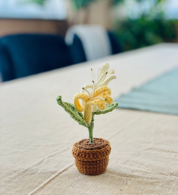 Handcrafted Mini Honeysuckle Crochet: Perfect June Gift! Birth