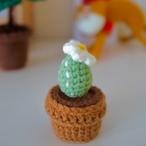 May include: A small crocheted cactus plant with a white flower, potted in a brown crocheted pot.