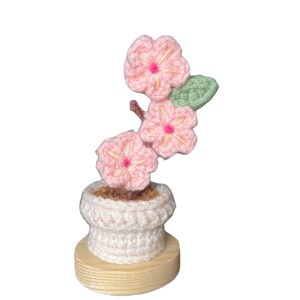 K&ouml;nnte beinhalten: Handgefertigte H&auml;kelblumenanordnung mit rosa Bl&uuml;ten und gelben Zentren sowie gr&uuml;nen Bl&auml;ttern. Die Blumen befinden sich in einem wei&szlig;en H&auml;keltopf auf einem Holzsockel und bilden ein dekoratives St&uuml;ck.