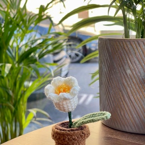May include: A crocheted white flower with a yellow center in a brown crocheted pot. The flower has a green stem and leaves.