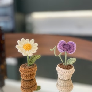 May include: Two crocheted potted plants. One plant has a white daisy flower with a yellow center. The other plant has a purple flower with a heart shape. Both plants are in brown pots.