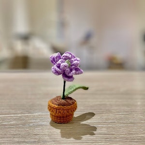 May include: A small crocheted flower in a purple and green colour scheme is potted in a brown crocheted pot. The flower is sitting on a light brown wooden surface.