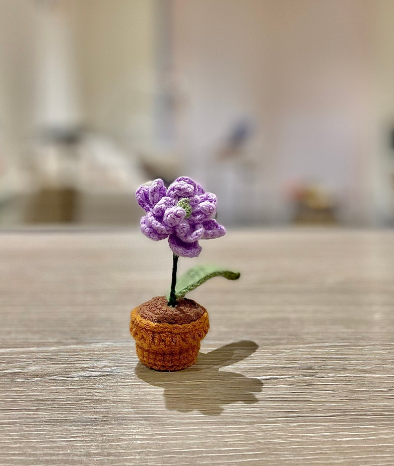 May include: A small crocheted flower in a purple and green colour scheme is potted in a brown crocheted pot. The flower is sitting on a light brown wooden surface.