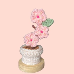 K&ouml;nnte beinhalten: Handgefertigtes H&auml;kelblumenarrangement mit rosa Bl&uuml;ten mit gelben Zentren und gr&uuml;nen Bl&auml;ttern. Die Blumen befinden sich in einem wei&szlig;en H&auml;keltopf mit Holzsockel, vor einem zartrosa Hintergrund. Ein dekorativer Artikel.